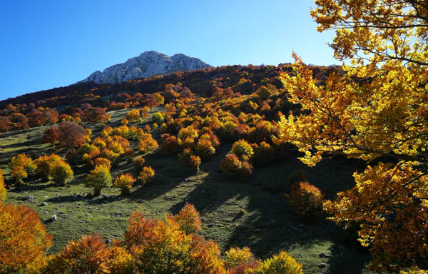 monti in autunno
